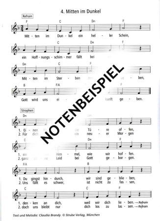 Preview: Mitten im Dunkel